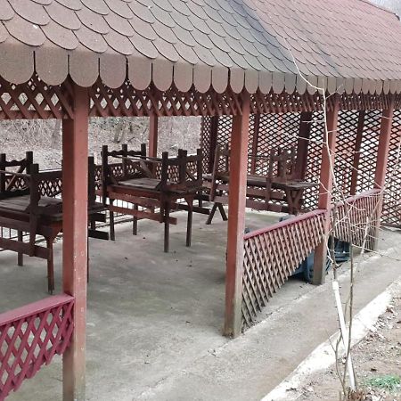Pensiunea Lucica Sacelu Exterior foto