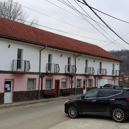Pensiunea Lucica Sacelu Exterior foto