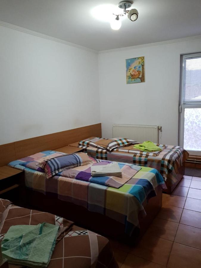 Pensiunea Lucica Sacelu Exterior foto