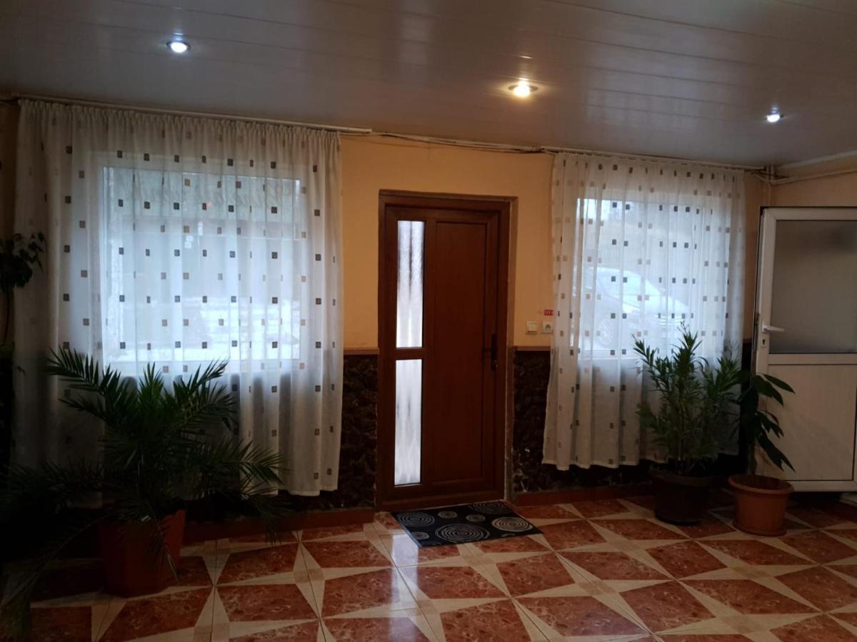 Pensiunea Lucica Sacelu Exterior foto