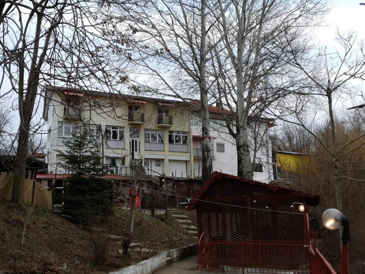 Pensiunea Lucica Sacelu Exterior foto