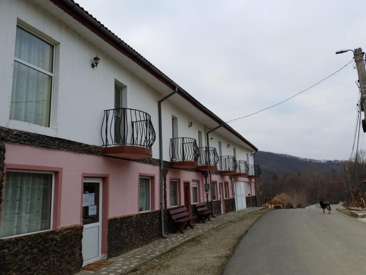 Pensiunea Lucica Sacelu Exterior foto
