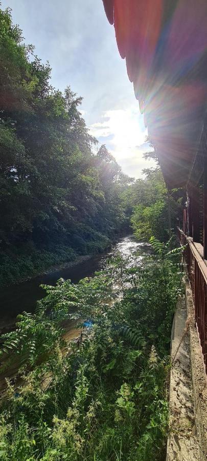 Pensiunea Lucica Sacelu Exterior foto