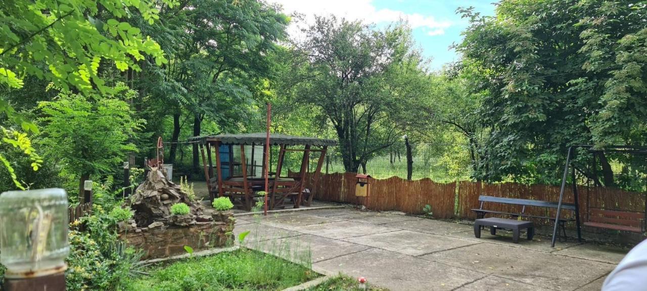 Pensiunea Lucica Sacelu Exterior foto