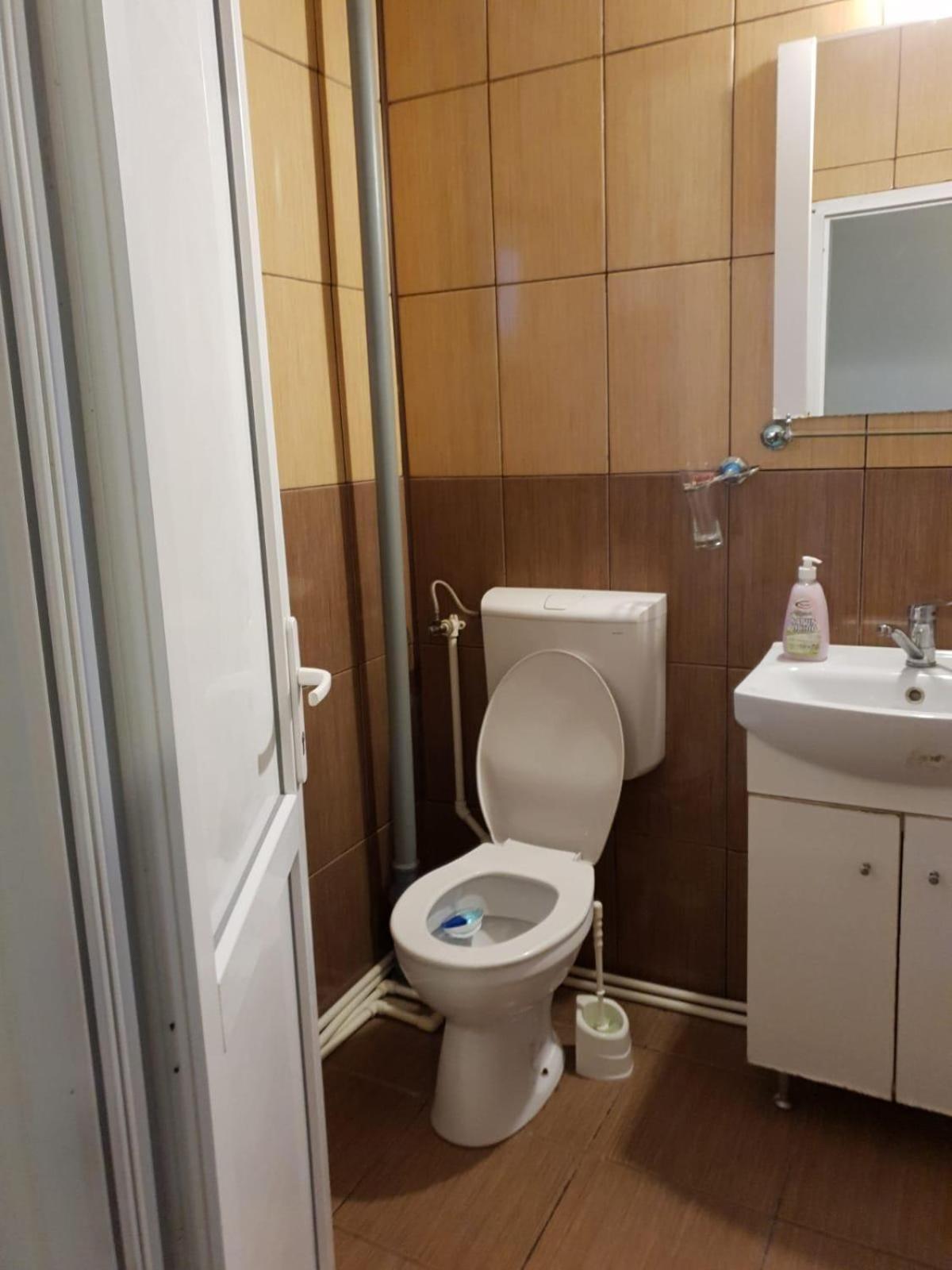 Pensiunea Lucica Sacelu Zimmer foto